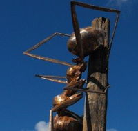 Augathella Meat Ant Park and Sculpture - Accommodation Mount Tamborine