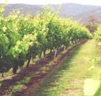 Girraween Estate - Accommodation Mount Tamborine