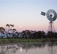 Moorrinya National Park - Accommodation Mount Tamborine