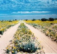 Birdsville Track - Accommodation Mount Tamborine