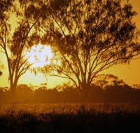 Lake Houdraman - Accommodation Mount Tamborine