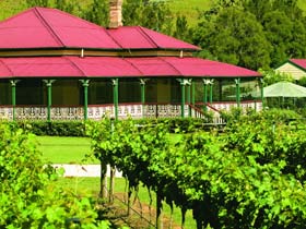 OReillys Canungra Valley Vineyards - Accommodation Mount Tamborine 0