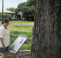 Augathella Kenniff Tree - Accommodation Mount Tamborine