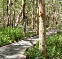 The Kommo Toera Trail - Accommodation Mount Tamborine