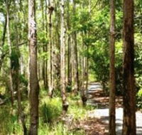 Hallorans Hill - Accommodation Mount Tamborine