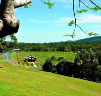 Sirromet Winery - Accommodation Mount Tamborine