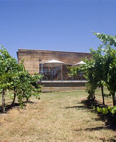 Shantell Vineyard - Accommodation Mount Tamborine 0