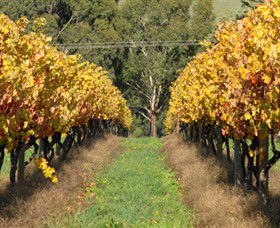 Wild Dog Winery & Restaurant - Accommodation Mount Tamborine 0