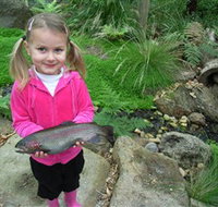 Wild Food Farm  Cafe - Accommodation Mount Tamborine