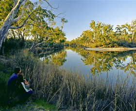  Accommodation Mount Tamborine