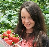 Yarra Valley Gateway Estate - Accommodation Mount Tamborine