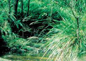 Newbury VIC Accommodation Mount Tamborine
