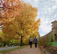 Indigo Gold Trail - Accommodation Mount Tamborine