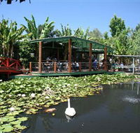 Blue Lotus Water Garden - Accommodation Mount Tamborine