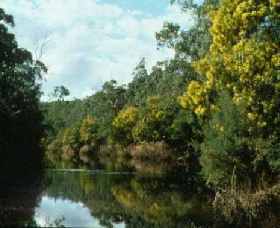 North Warrandyte VIC Accommodation Mount Tamborine