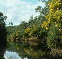 Warrandyte State Park - Accommodation Mount Tamborine