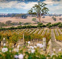 Redesdale Estate - Accommodation Mount Tamborine