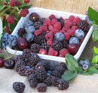 Bright Berry Farms - Accommodation Mount Tamborine