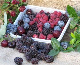 Bright Berry Farms - Accommodation Mount Tamborine 0