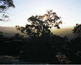 Ivanhoe East VIC Accommodation Mount Tamborine