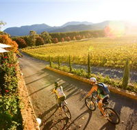 Boyntons Feathertop Winery - Accommodation Mount Tamborine