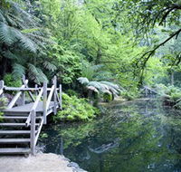 Alfred Nicholas Gardens - Accommodation Mount Tamborine