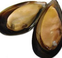 Sea Bounty - Accommodation Mount Tamborine