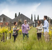 Willow Creek Vineyard - Accommodation Mount Tamborine