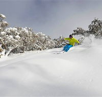 Mt Buller and Mt Stirling Alpine Resort - Accommodation Mount Tamborine