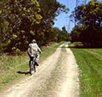 Koomba Park - Accommodation Mount Tamborine