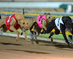 The Beckley Centre - Accommodation Mount Tamborine 0