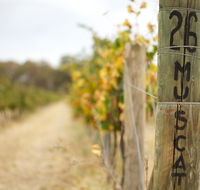 Stanton and Killeen Wines - Accommodation Mount Tamborine