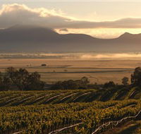 Montara Wines - Accommodation Mount Tamborine