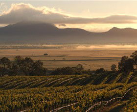 Montara Wines - Accommodation Mount Tamborine 0