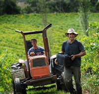Kellybrook Winery  Kelly Brothers Cider - Accommodation Mount Tamborine