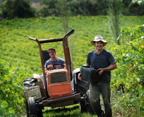 Kellybrook Winery & Kelly Brothers Cider - Accommodation Mount Tamborine 0