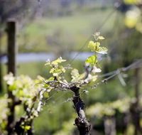 Michelini Wines - Accommodation Mount Tamborine