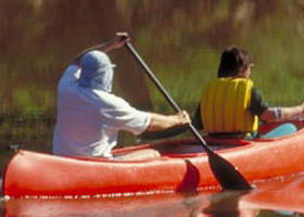 Yarra Bend Park - Accommodation Mount Tamborine 0