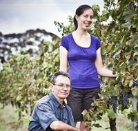 Anderson Winery - Accommodation Mount Tamborine