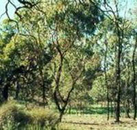 Leaghur State Park - Accommodation Mount Tamborine