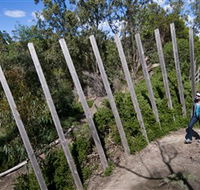 Herring Island Environmental Sculpture Park - Accommodation Mount Tamborine