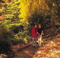 George Tindale Memorial Gardens - Accommodation Mount Tamborine