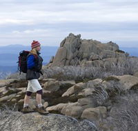 Mount Buffalo National Park - Accommodation Mount Tamborine