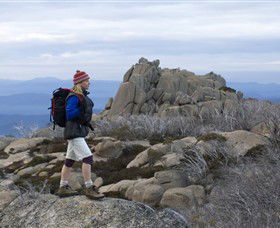 Mount Buffalo National Park - Accommodation Mount Tamborine 0