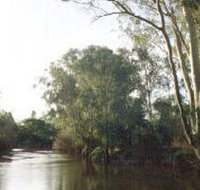 Banksia Park - Accommodation Mount Tamborine