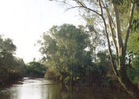 Banksia Park - Accommodation Mount Tamborine 0