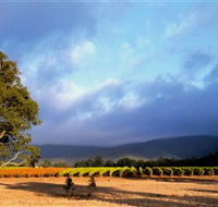 Mount Avoca - Accommodation Mount Tamborine