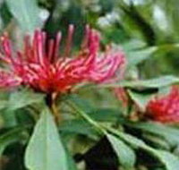 Alfred National Park - Accommodation Mount Tamborine