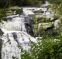 Agnes Falls Scenic Reserve - Accommodation Mount Tamborine