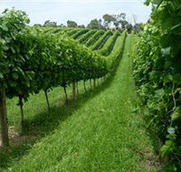 The Cups Estate - Accommodation Mount Tamborine